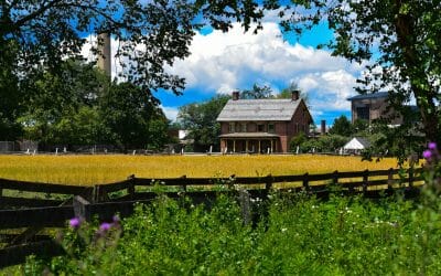 Blog 3