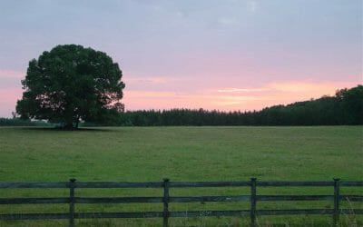 Blog 2